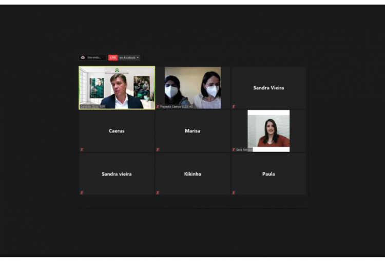Webinar “Oportunidades e Apoios ao Emprego para Desempregados”